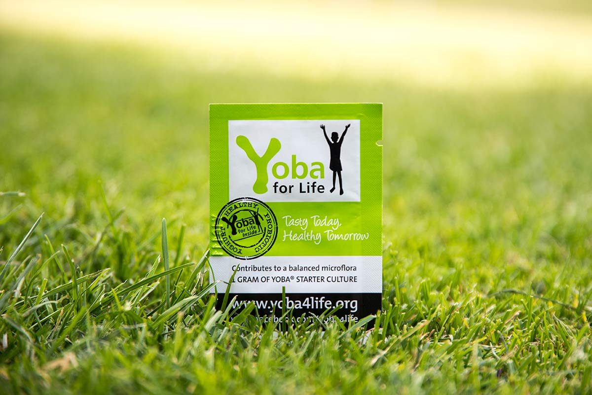 Yoba for life – a probiotic yogurt starter culture - MyMicrobiome