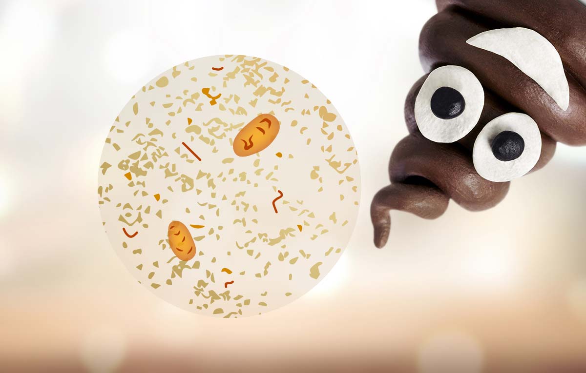 Stuhlproben als Krankheitsindikator - MyMicrobiome